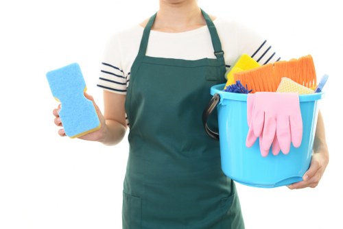 Pet stain odour removal in New Barnet for carpets and upholstery