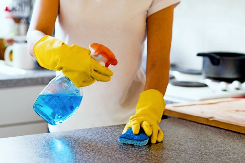 Professional carpet cleaning in a New Barnet home