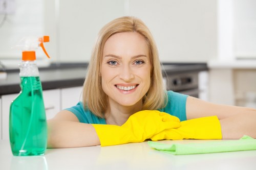 Deep cleaning carpet and upholstery for pet stain odour removal